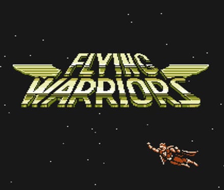 Image de Flying Warriors