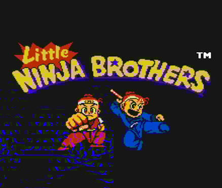 Image de Little Ninja Brothers