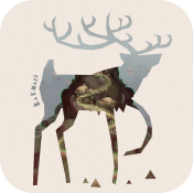 Image de Barmark