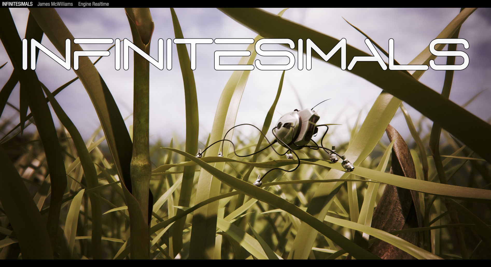 Image de Infinetesimals
