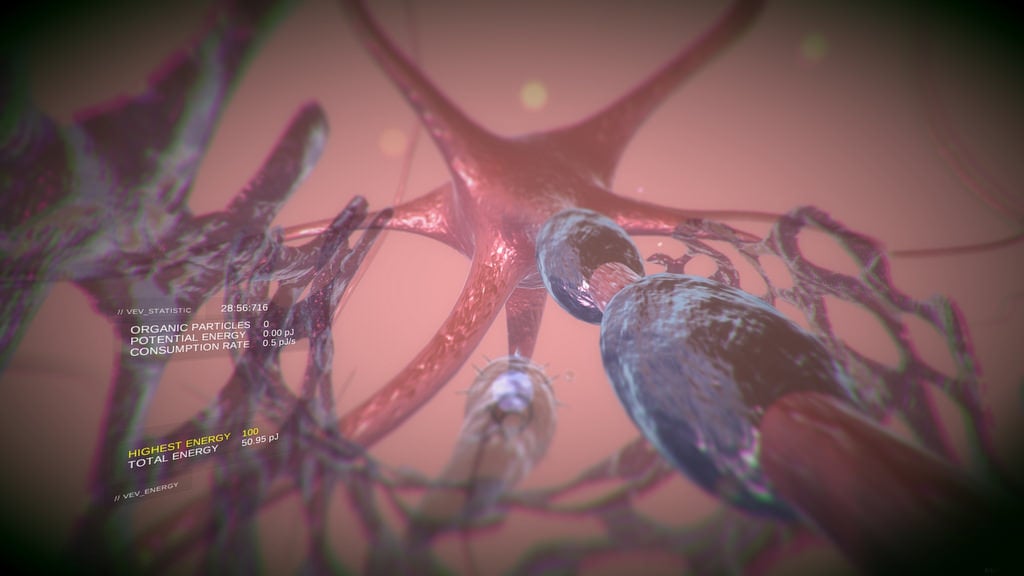 Image de VEV : Viva Ex Vivo
