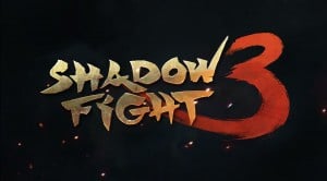 Image de Shadow Fight 3