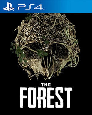 Image de The Forest