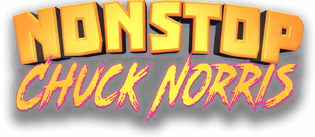 Image de Nonstop Chuck Norris