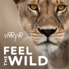 Image de Virry VR