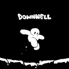 Image de Downwell