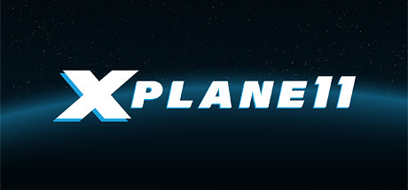 Image de X-Plane 11