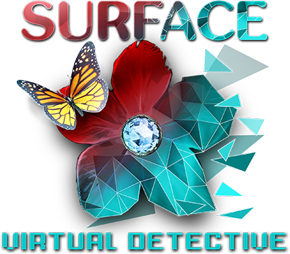 Image de Surface : Virtual Detective