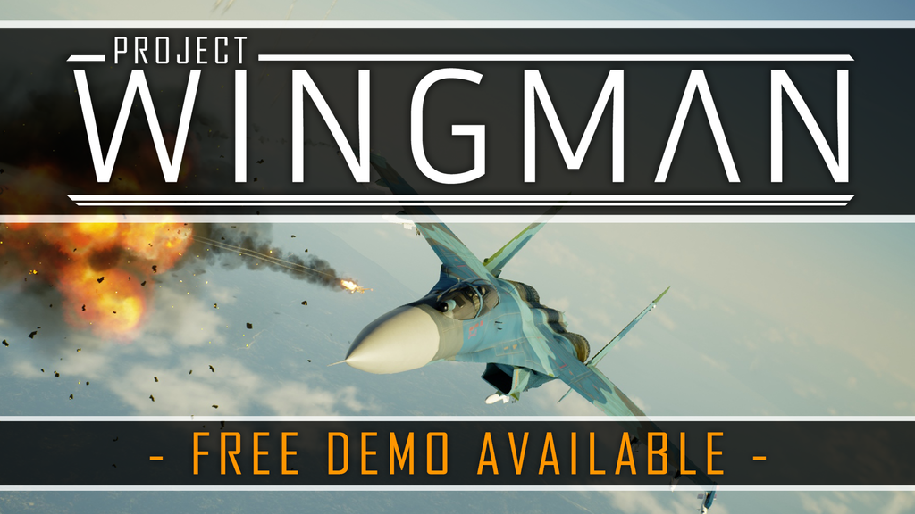 Image de Project Wingman
