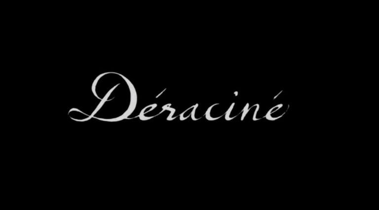 Image de Déraciné