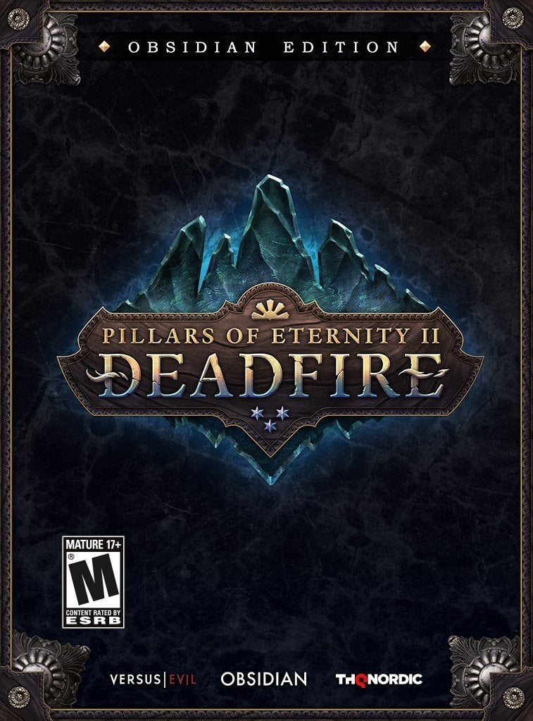 Image de Pillars of Eternity 2 : Deadfire