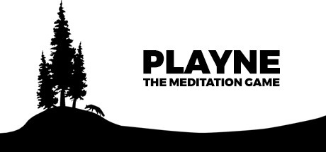 Image de Playne : The Meditation Game