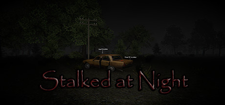 Image de Stalked at Night