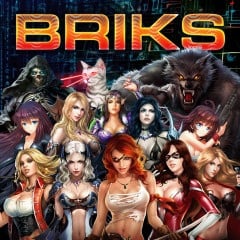 Image de BRIKS