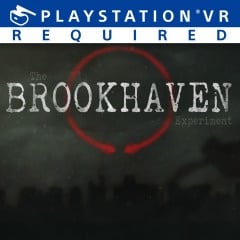 Image de The Brookhaven Experiment