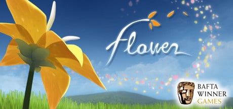 Jaquette de Flower