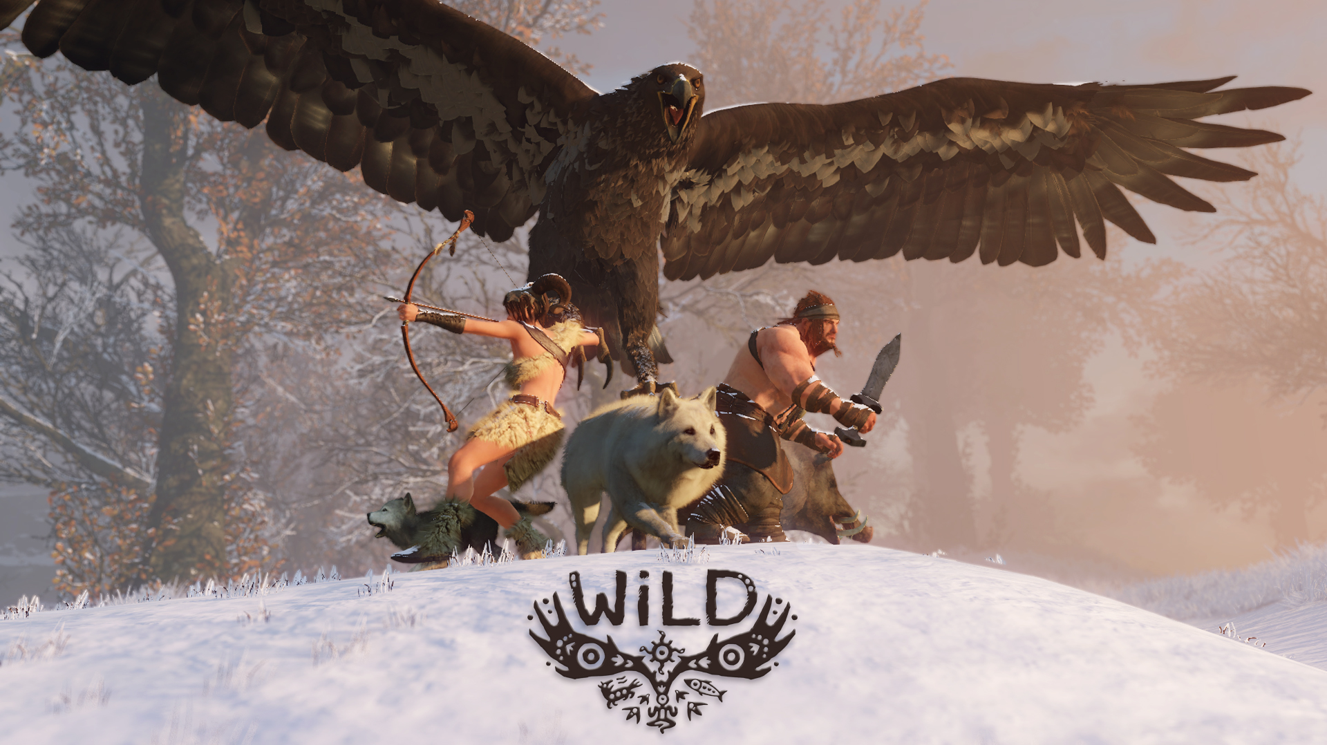Image de WiLD