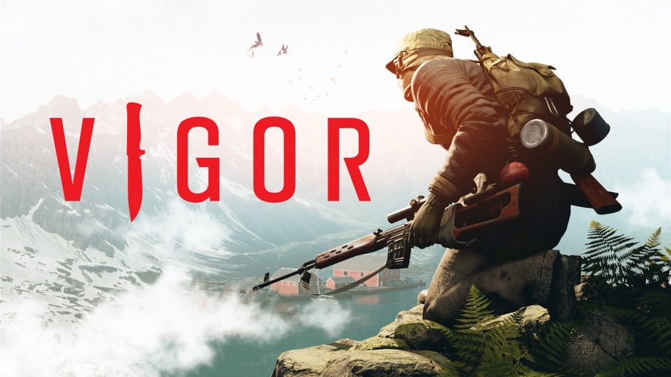 Image de Vigor