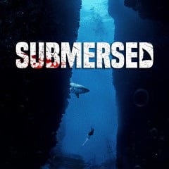 Image de Submersed
