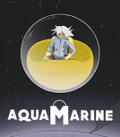 Jaquette de Aquamarine