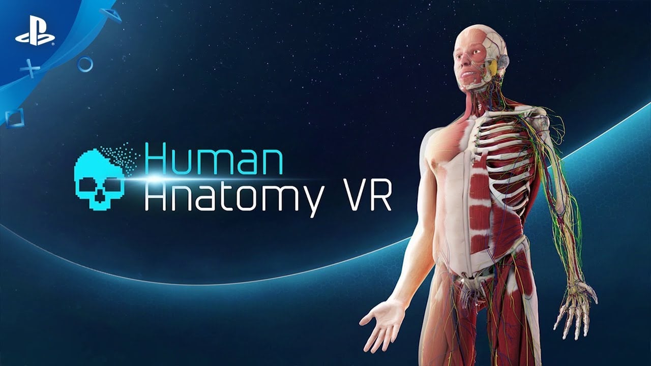 Image de Human Anatomy VR