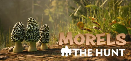 Image de Morels : The Hunt