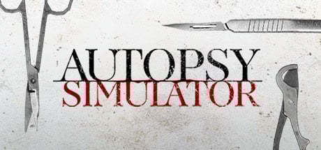 Image de Autopsy Simulator