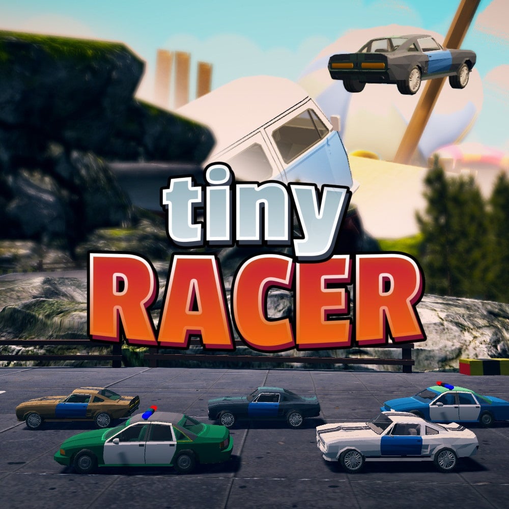Image de Tiny Racer