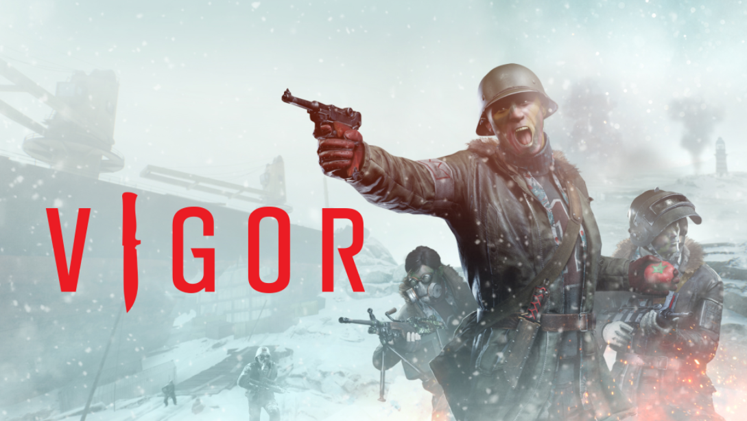 Image de Vigor