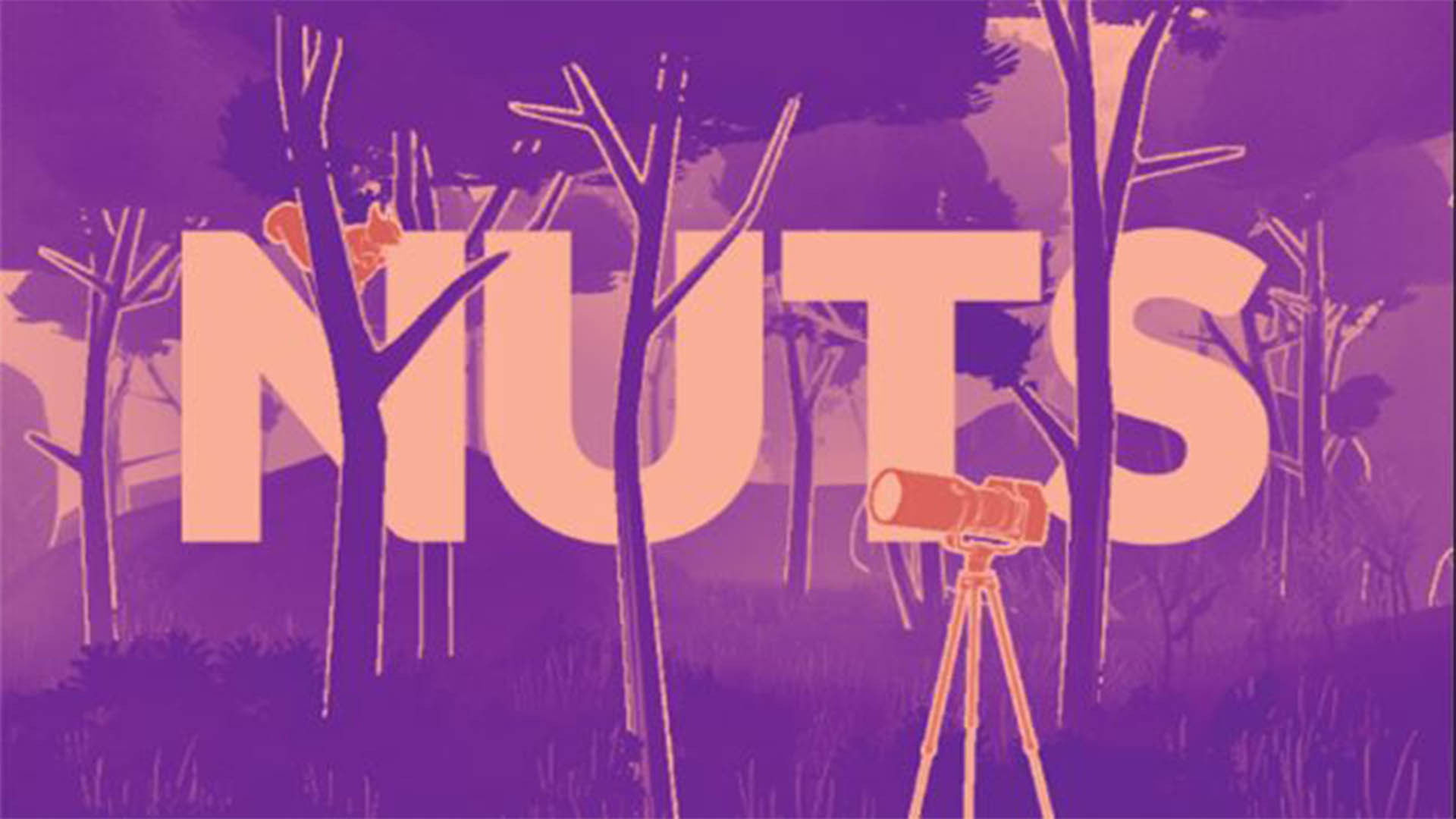 Image de Nuts