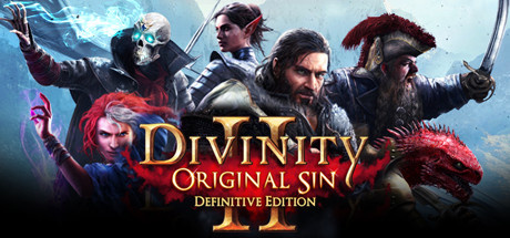 Jaquette de Divinity : Original Sin II - Definitive Edition