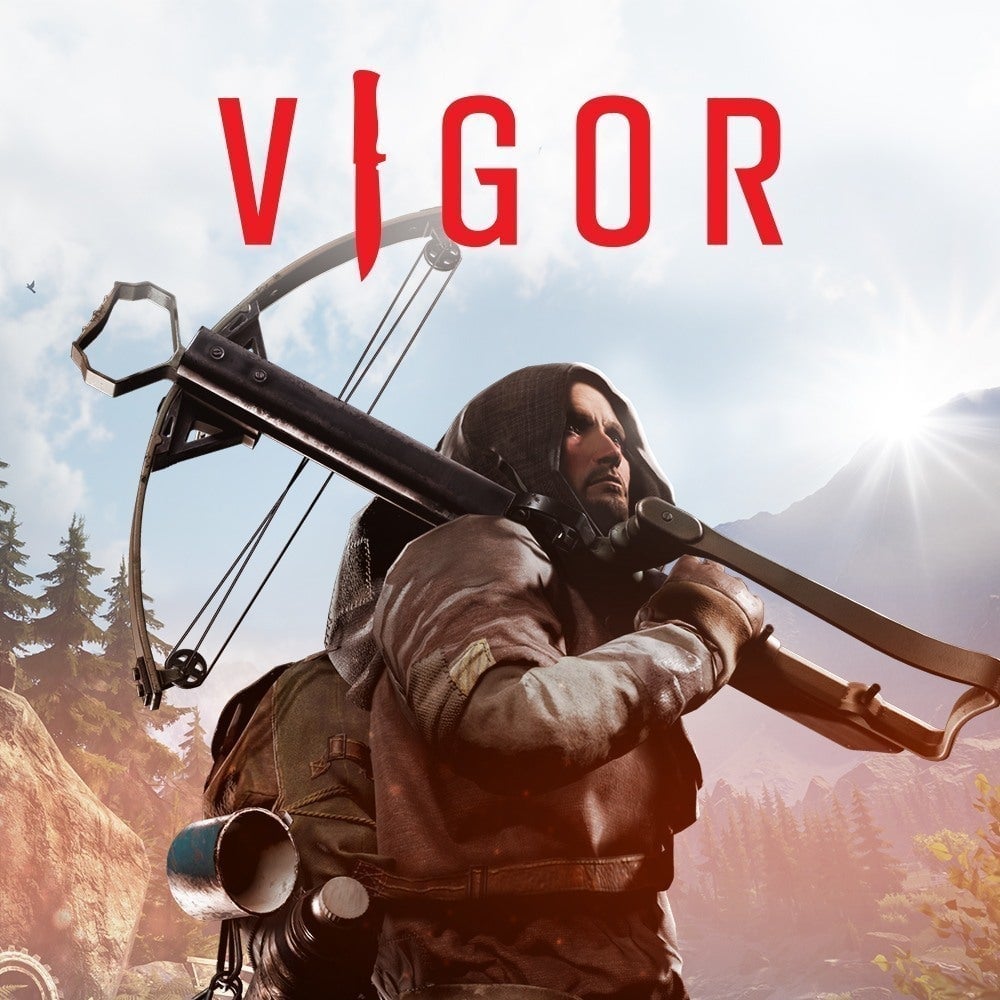 Image de Vigor