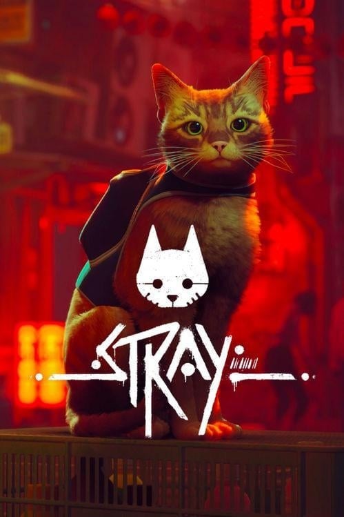 Image de Stray