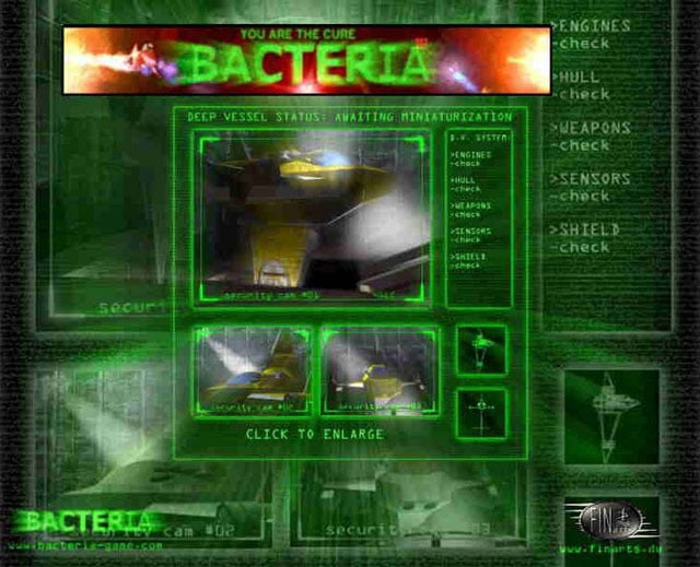 Bacteria