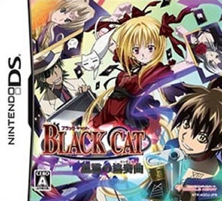 Image de Black Cat : Kuroneko No Concerto