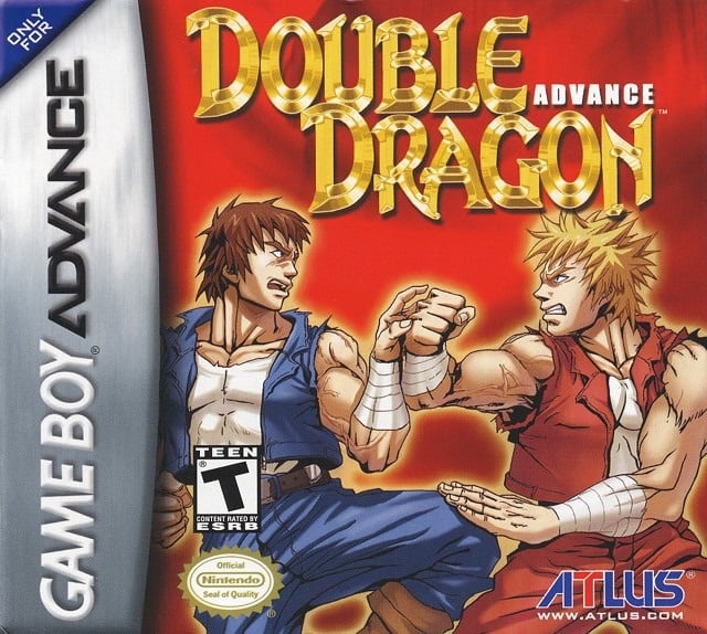 Image de Double Dragon Advance