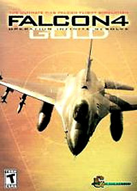 Image de Falcon 4.0 Gold : Operation Infinite Resolve