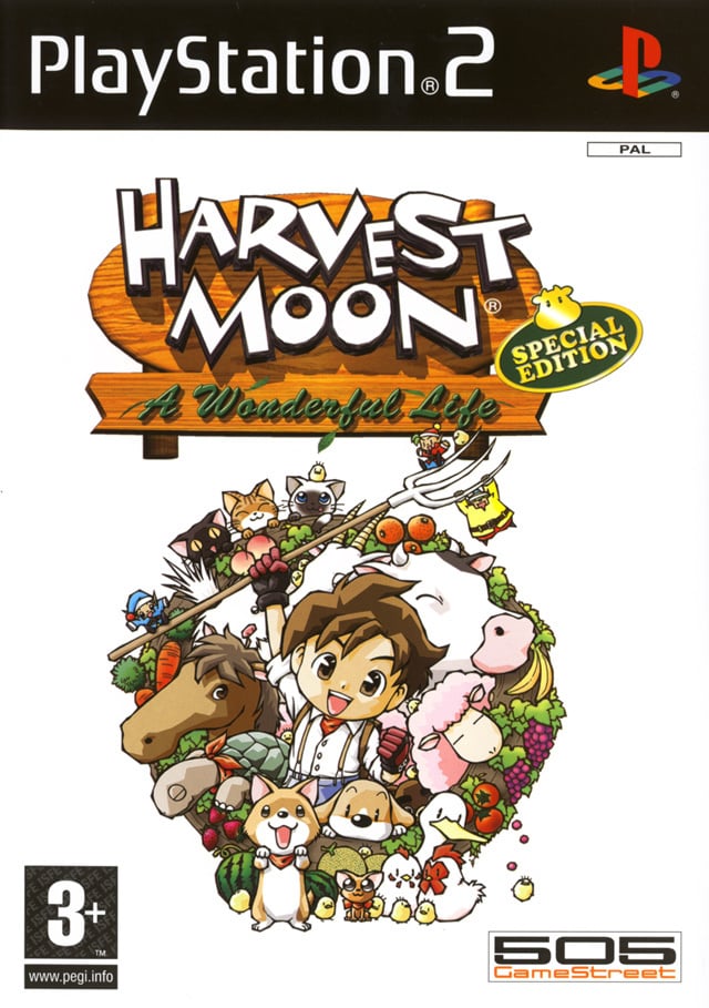 Image de Harvest Moon : A Wonderful Life