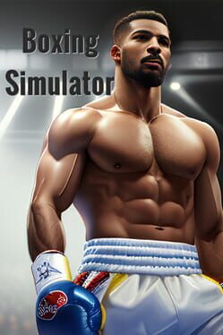 Image de Boxing Simulator