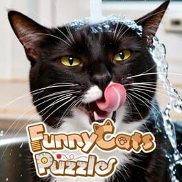 Image de Funny Cats Puzzle