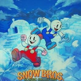 Image de Snow Bros. Classic Collection
