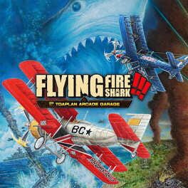 Image de Toaplan Arcade Garage: Flying Fire Shark