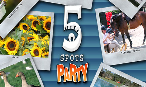 Image de 5 Spots Party