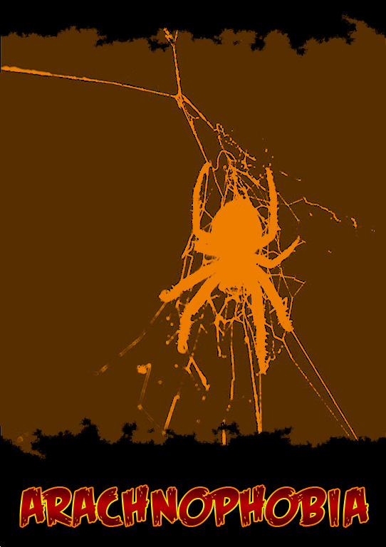 Image de Arachnophobia