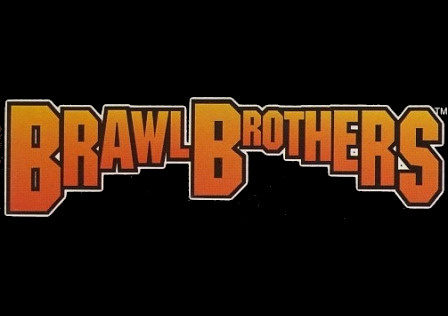 Image de Brawl Brothers