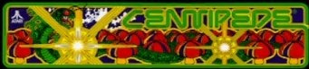 Centipede