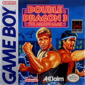 Image de Double Dragon III : The Sacred Stones