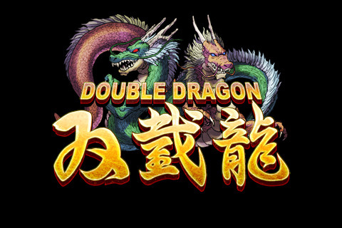 Jaquette de Double Dragon