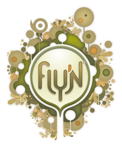 Image de Fly'n