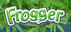 Jaquette de Frogger